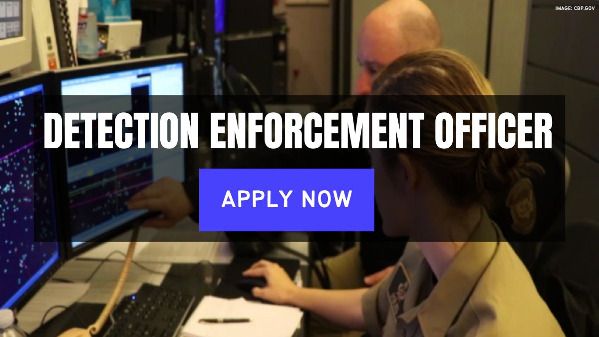 Detection Enforcement Officer