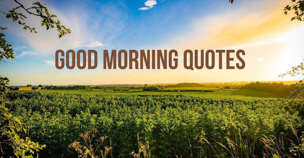 Good Morning Quotes